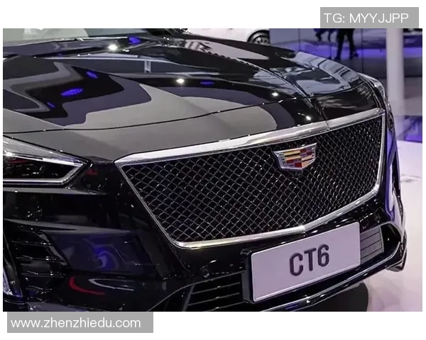 最新CSGO意识排行榜揭晓WE战队强势领跑前十名